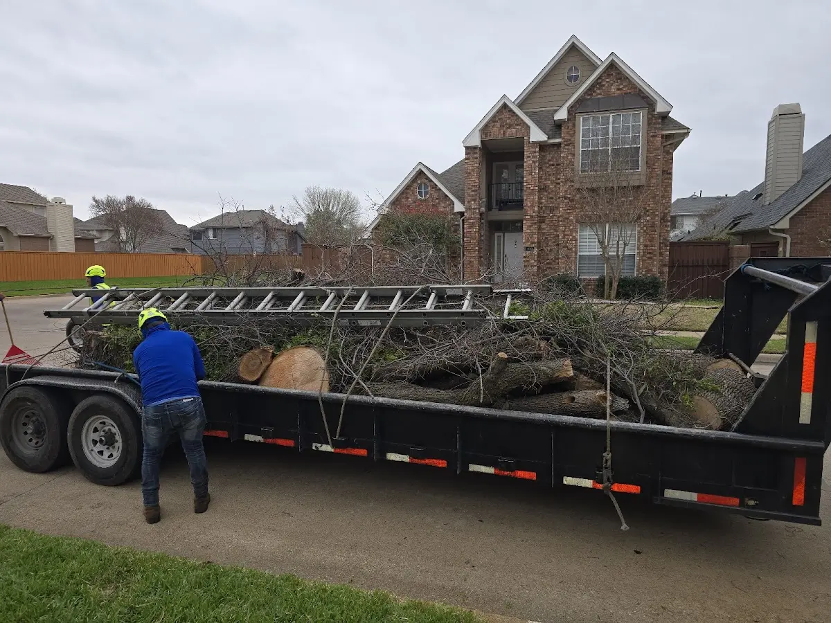 Expert Tree Fertilization with proper safety equipment in Aldrich